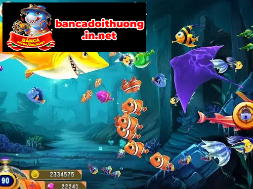 Chiến thuật bắn cá đổi thưởng răng bi rất hiệu quả Chiến thuật bắn cá đổi thưởng răng bi rất hiệu quả